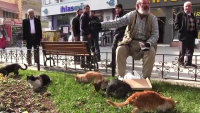 hayvan sevgisi - Siirtli yaşlı adamın kedi sevgisi ilgi çekiyor  Videosu