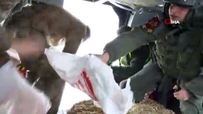 yaban kecisi -  Skorsky’ler bu kez, yaban hayvanları için havalandı Videosu