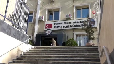 kan davasi -  İstanbul’da işlenen Azeri cinayetlerinin altından kan davası çıktı  Videosu