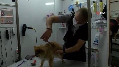 hayvan severler -  Sakarya’da ilk kez açılan ve çevre illerin ihtiyacını karşılayacak olan pet kuaförü hizmete vermeye başladı Videosu