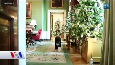evcil hayvan - Beyaz Saray’ın Dört Ayaklı Sakinleri  Videosu