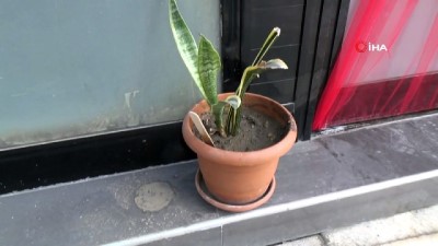  Denizli’de iş yeri önünden çiçek hırsızlığı kameralara yansıdı 