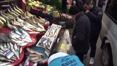turna baligi - Elazığ'da 80 kilogram ağırlığında turna balığı yakalandı Videosu