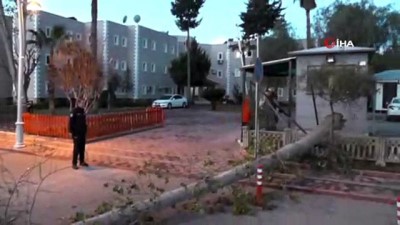  Kemer'de fırtına ağaçları kökünden söktü 