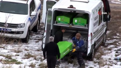 lise ogrencisi -  Köpeklerin saldırdığı lise öğrencisi hayatını kaybetti Videosu