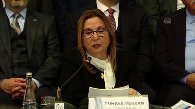 Pekcan: '2018'de ihracatımızın ithalatımızı karşılama oranı yüzde 75,3 düzeyine yükseldi' - ANKARA 
