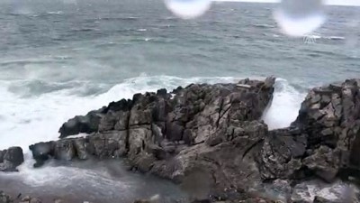 Şiddetli rüzgar - ZONGULDAK 