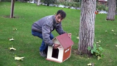 belediye baskan yardimcisi -  Sokak kedileri için sıcak evler kuruldu  Videosu
