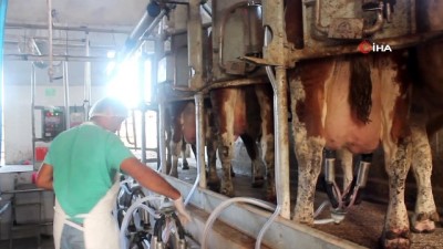 referans -  Süt üreticisi, süt fiyatlarının tekrar gözden geçirilmesini istiyor  Videosu