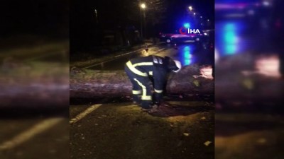  Yalova’da dev ağaç yola devrildi 