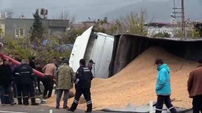 Devrilen tırdaki mısırlar yola saçıldı - HATAY