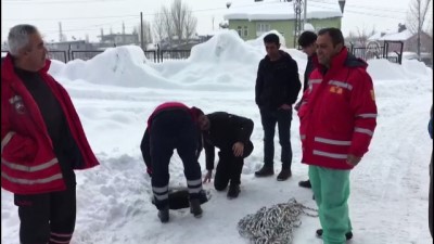 Hakkari'de çukura düşen köpek kurtarıldı