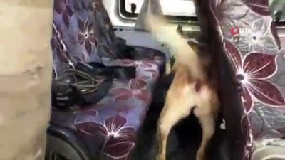 uyusturucu tacirleri -  Van'da 21 kilo eroin ele geçirildi  Videosu