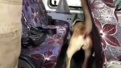 Van'da uyuşturucu operasyonu 