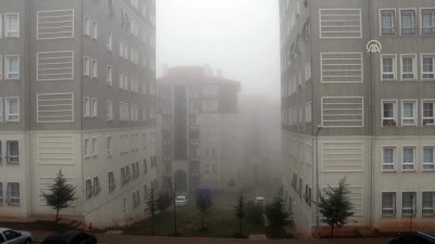 Yoğun sis - GAZİANTEP 