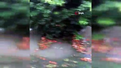  Adana'da narenciye bahçeleri sular altında kaldı 