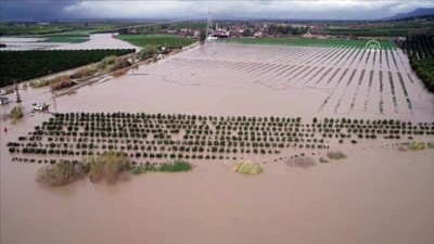 su baskini - Ceyhan Nehri'nin taşması sonucu tarım alanları ve evleri su bastı - ADANA Videosu