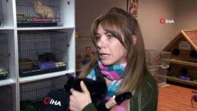  Yaralı hayvanları iyileştirip sıcak yuvalara kavuşturuyorlar 