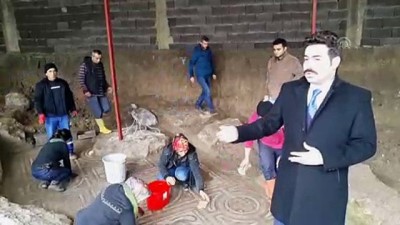 insaat firmasi - Binlerce yıllık mozaikte turp figürü - OSMANİYE  Videosu