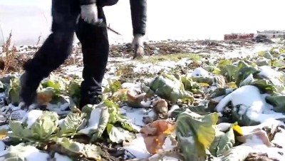 uttu - Dondurucu soğukta geçim mücadelesi - EDİRNE  Videosu