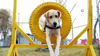  Jandarmadan duygulandıran klip 