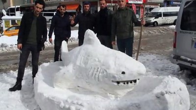 kopekbaligi - 'Kardan köpekbalığı' ilgi odağı oldu - HAKKARİ  Videosu