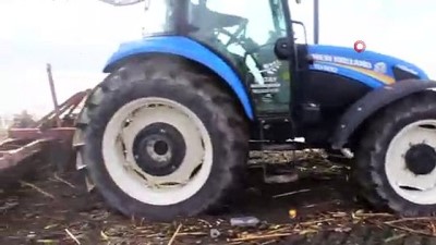  Kıyıya ulaşan su sümbülleri temizlendi