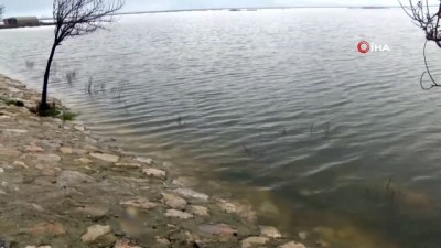  Sağanak yağmur sonrası Amik Ovası sular altında kaldı 