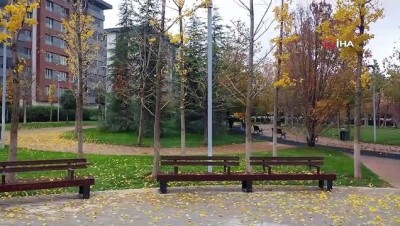  Şehitkamil’e on binlerce fidan dikildi 