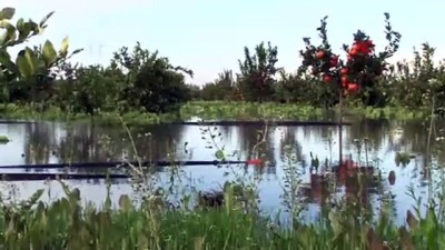 karnabahar -  Şiddetli yağış sonrası tarlalar sular altında kaldı...Göle dönen tarım arazileri havadan görüntülendi  Videosu