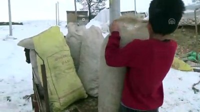 Ahlat'ta çocuklar kızaklarla ot taşıyor - BİTLİS 