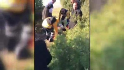 makilik alan - Düzensiz göçmenleri, aralarında çıkan kavga yakalattı - MUĞLA Videosu