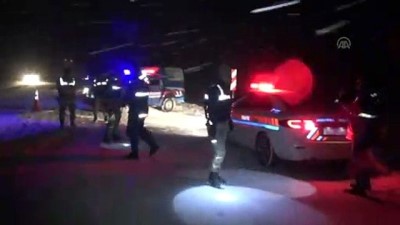 Hafif ticari araç devrildi: 5 yaralı - AMASYA