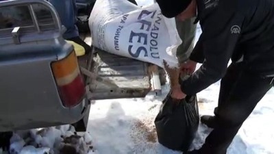 yaban kecisi - Yurtta kış - ADIYAMAN Videosu