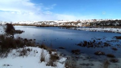 uttu - Ahlat'ta gölet kısmen dondu - BİTLİS Videosu