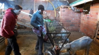  Balıkesirli muhtar örnek yetiştirici oldu