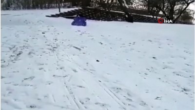  Köpeğin kızak keyfi görenleri şaşırtıyor 