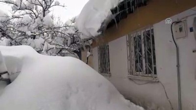 Tek katlı evler kara gömüldü - BİTLİS