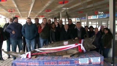 orkinos -  Türkiye Deniz Canlıları Müzesi, yarıyıl tatilinde ziyaretçileri bekliyor  Videosu