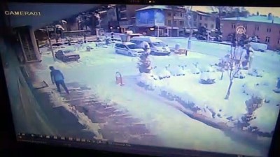 Üşüyen yavru köpek belediye binasına sığındı - TOKAT 