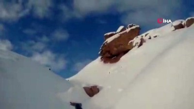  Vurduğu tavşanın boyunu görünce neye uğradığını şaşırdı 