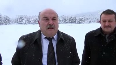 Yılkı atları ve kızıl geyikler için doğaya yem bırakıldı - AFYONKARAHİSAR 