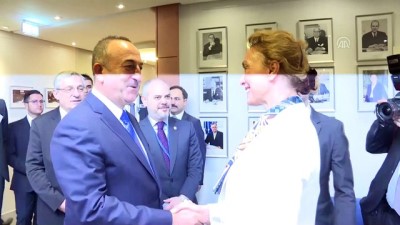 Dışişleri Bakanı Çavuşoğlu, Avrupa Konseyi Genel Sekreteri Buric ile görüştü - STRAZBURG 