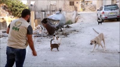 olum riski - İHH Kafranbel’deki sokak hayvanlarını unutmadı - SURİYE  Videosu