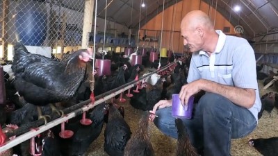 tavuk ciftligi - Amansız hastalığı yenip çocukluk hayalini gerçekleştirdi - AĞRI  Videosu