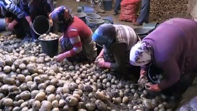 yerli tohum - Nevşehir'de 'Bitki Sağlığı Teşhis ve Analizi Laboratuvarı' kurulacak  Videosu