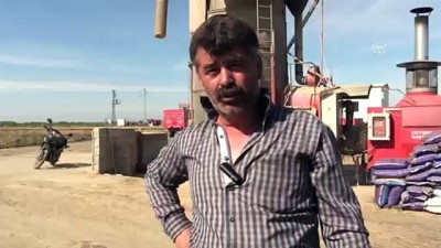 bebek - 'Beyaz altın'da kurutma mesaisi - EDİRNE  Videosu