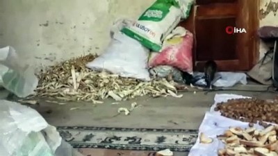 yavru kedi -  Üç ayaklı doğan kedi mahalle sakinlerinin ilgi odağı haline geldi  Videosu