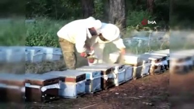 narkotik -  Arı kovanlarının içine gizlenmiş, 152 kilo eroin ele geçirildi  Videosu