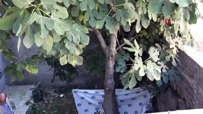 sparta -  Isparta'da düştüğü apartman bahçesinde öldü  Videosu